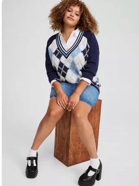 NWT Torrid Everyday Soft Ribbed V-Neck Raglan Sweater